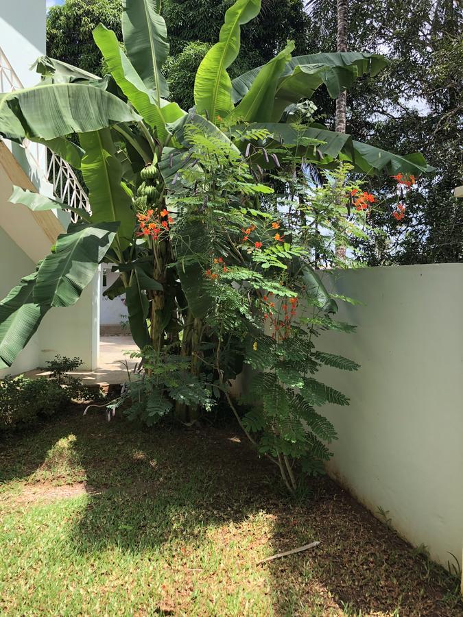 Turaco 3* Zanzibar